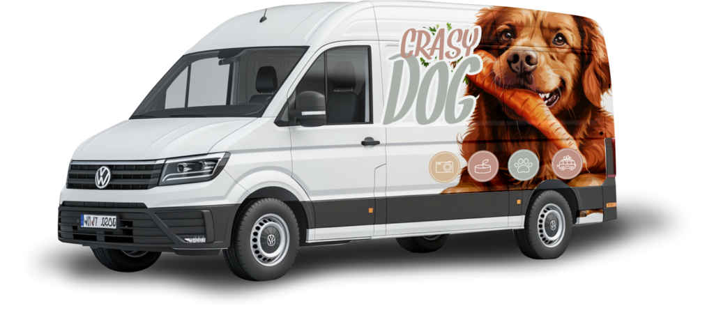 sprinter4 1